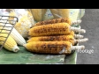 Corn at Vege Market, Suthothai 2 2241